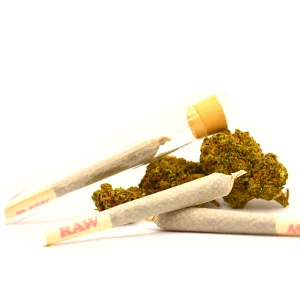 Hash Plant Runtz x Gorilla Glue Pre-Roll