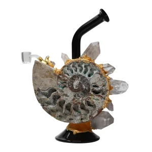 Envy Glass Ammonite Heady Dab Rig