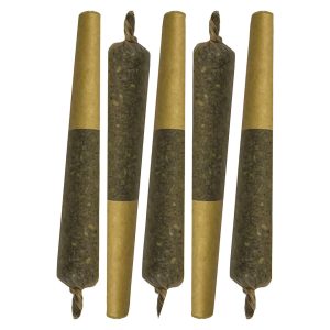 Key Lime Slice Cured Resin Infused Pre-Roll