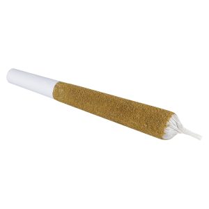 Good Supply – Jean Guy Pre-Roll