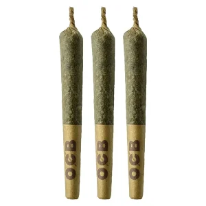 Coffin Candy Pre-Roll