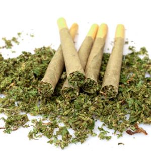 Big Bang Chernobyl Pre-Roll