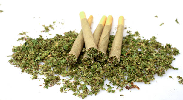 Big Bang Chernobyl Pre-Roll