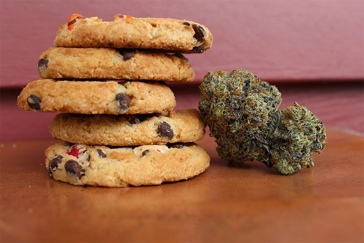 Salted Chocolate Chip Cookie 50mg