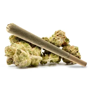 Sativa Blend Pre-Roll
