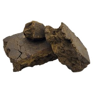 Dragon Stamp Hash