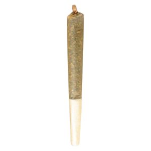Blue Ztarburzt Pre-Roll
