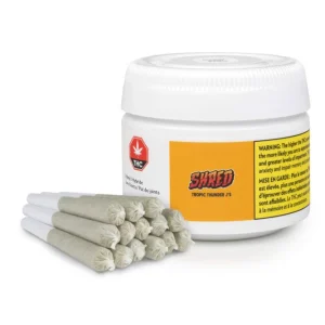 Tropic Thunder THCA Pre Rolls Jar