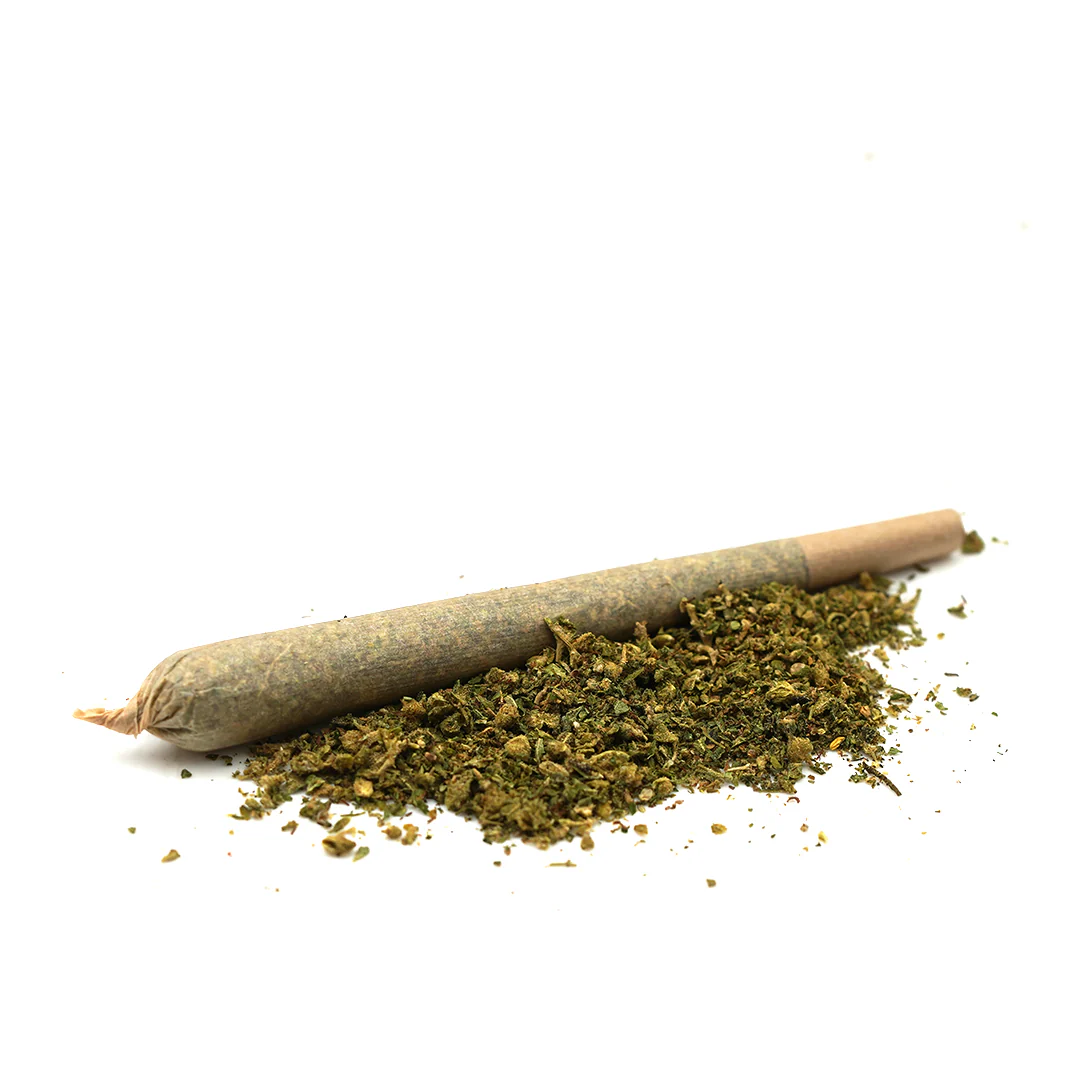 Amnesia Haze Hash Infused Pre-Roll