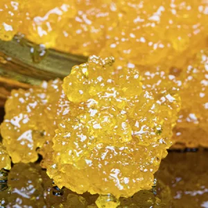 Cookies and Cream Live Resin
