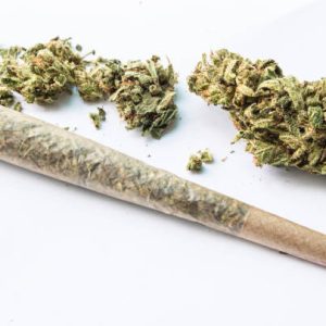 Pineapple Express Pre-Roll