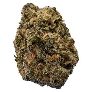 Afghani Bull-rider Kush