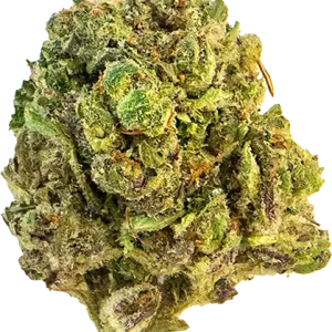 Mag Landrace Cannabis Strain