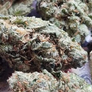Classic OG Kush