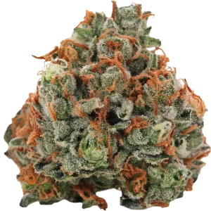 Casey Jones Weed Strain