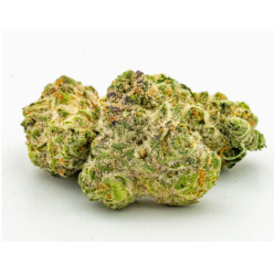 Platinum Champagne Weed Strain