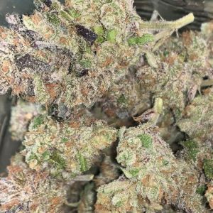 White Grapefruit Cookies Strain