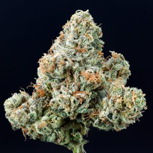 Headbanger Weed Strain