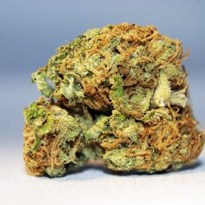 Cosmos Marijuana Strain