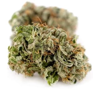 Orange Glue Weed Strain