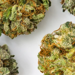 Chocolate Chunk Skunk