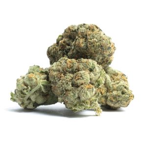African Buzz Weed Strain