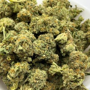 BC Kush Strain
