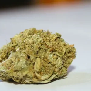 Big Buddha Cheese Strain