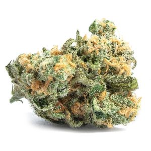 Candy Store Weed Strain