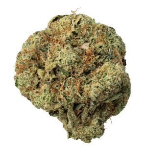Pandora's Box Weed Strain
