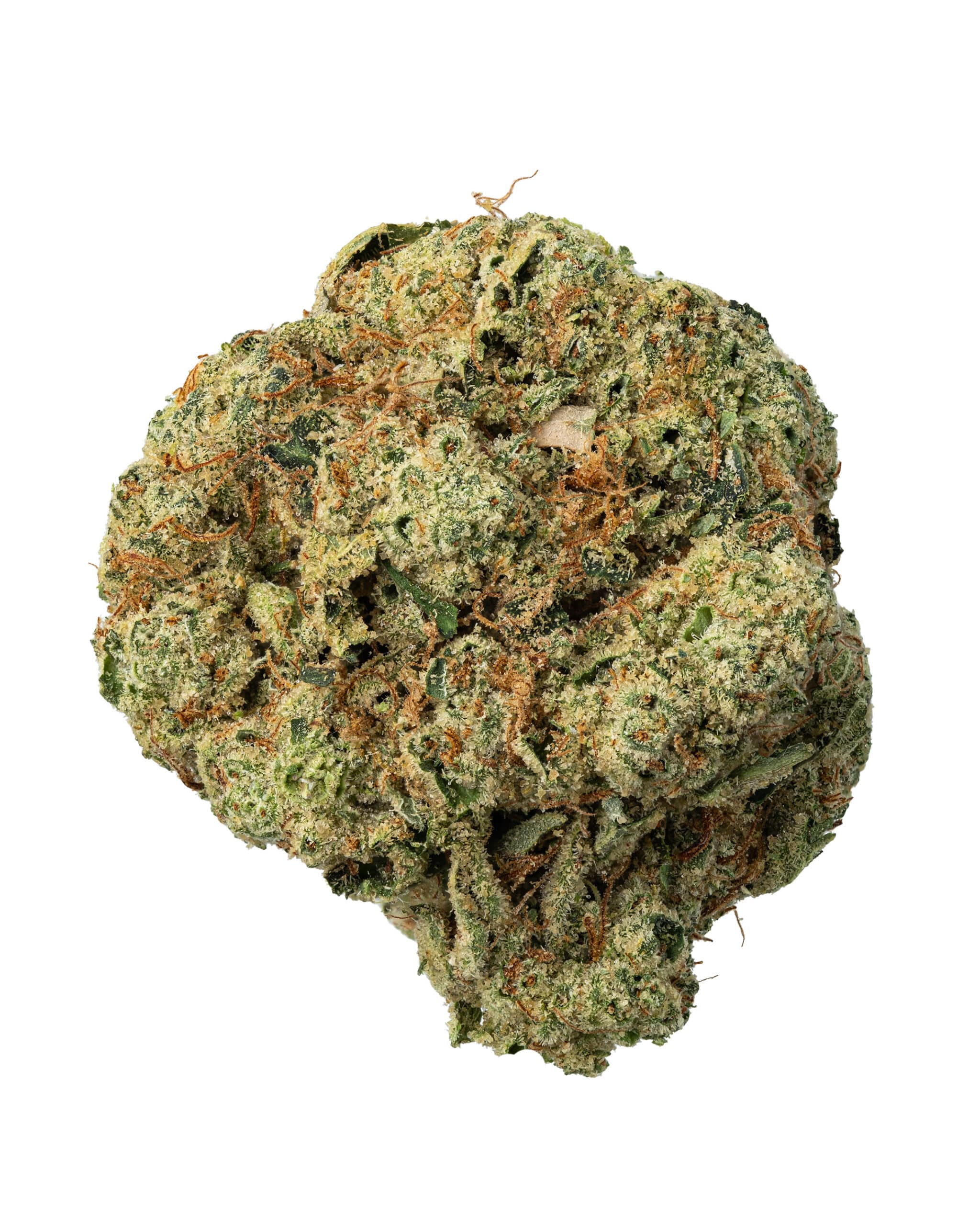 Pandora's Box Weed Strain