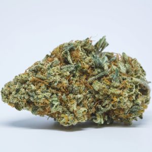 Malawi Gold Weed Strain