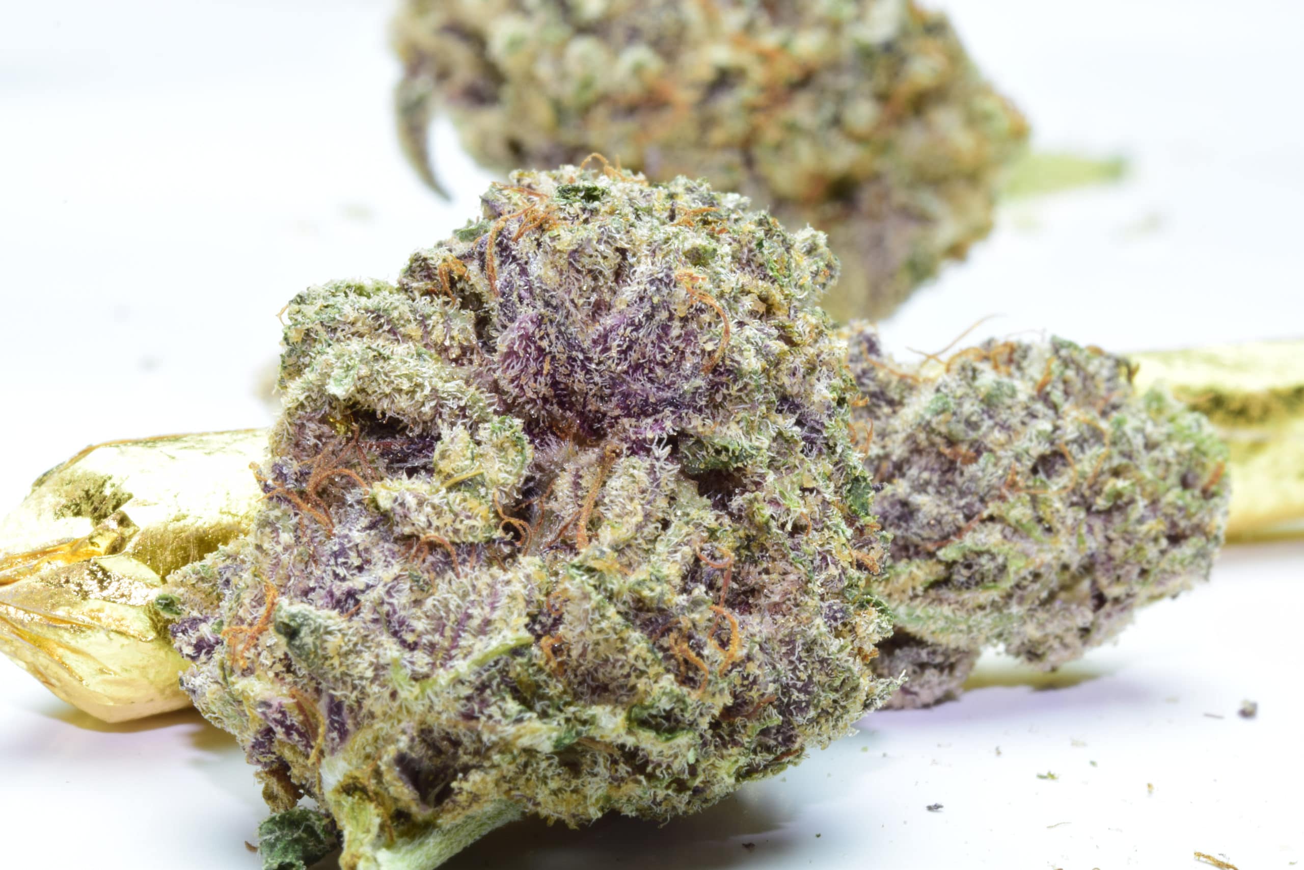Hindu Kush Weed Strain