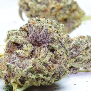 Purple Kush Strain