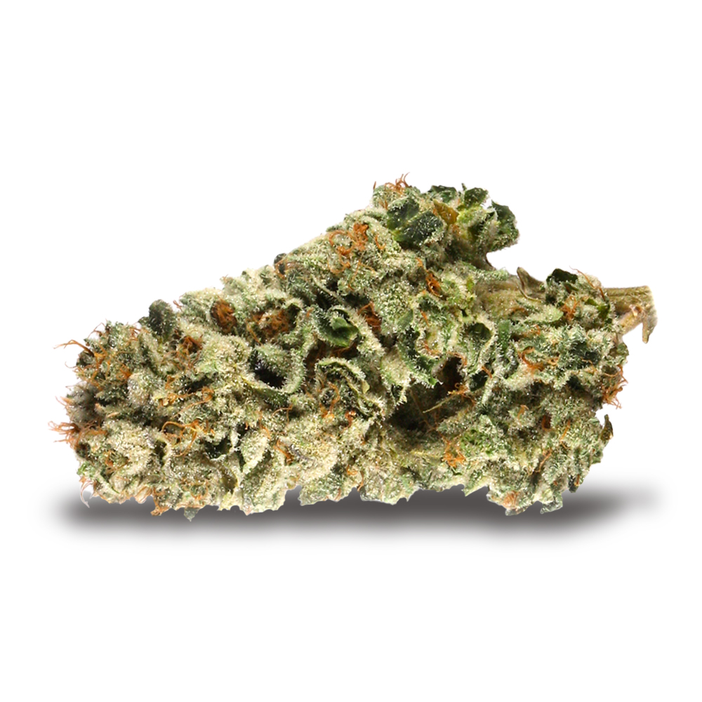 Dr. Cookies Marijuana Strain