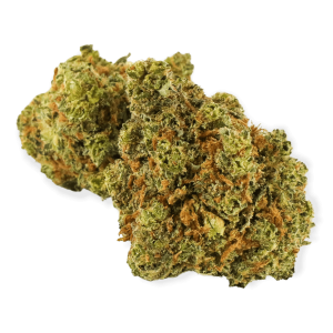 Super Lemon Haze Skunk