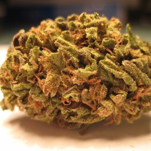 Maui Wowie Cannabis Strain