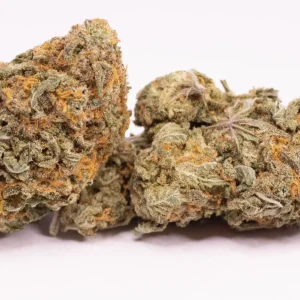 Chocolate Diesel Marijuana Strain