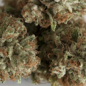 Kosher Kush Marijuana Strain
