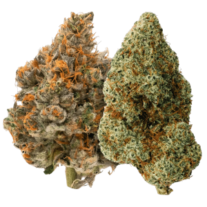 Orange Kush