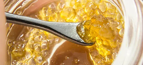 Starfruit Strain Terp Sauce,