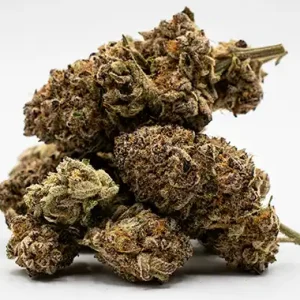 7-Way Kush Strain