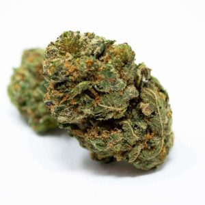 G Stik "Amarillo" Kush