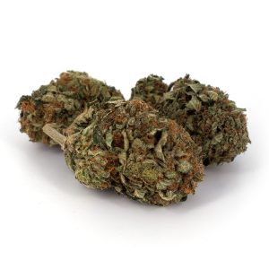 Chemo Weed Strain
