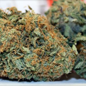 Chocolate Thai Cannabis Strain