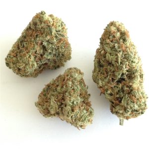 Citrus Punch Kush Strain
