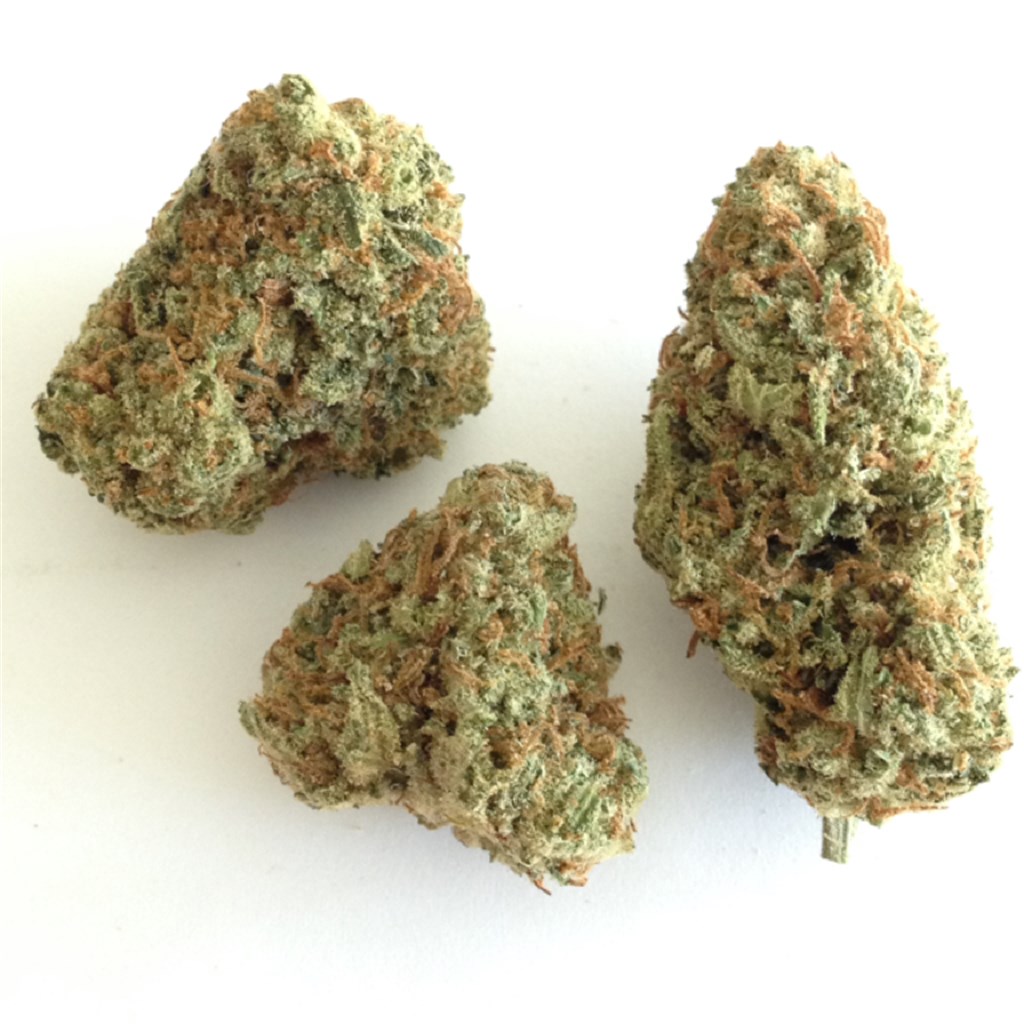 Citrus Punch Kush Strain
