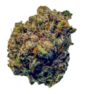 Critical Cheese Strain