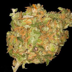 Cheese Weed Strain