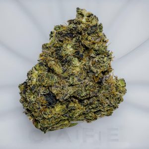 Donny Burger Kush